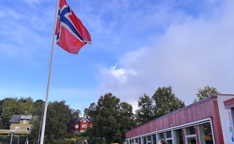 Lenke til artikkel: Markering for kong Harald 