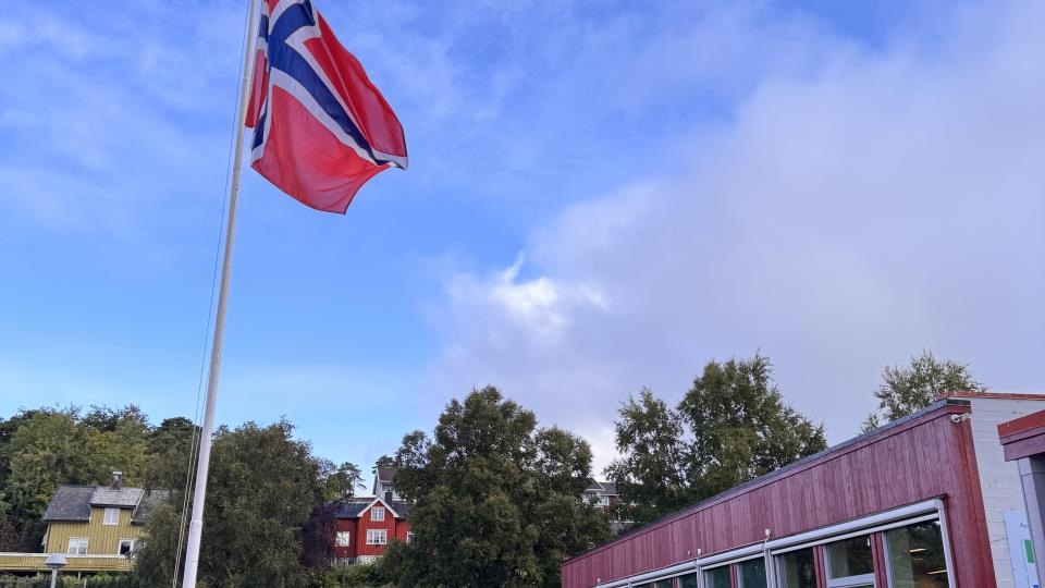 Lenke til artikkel: Markering for kong Harald 