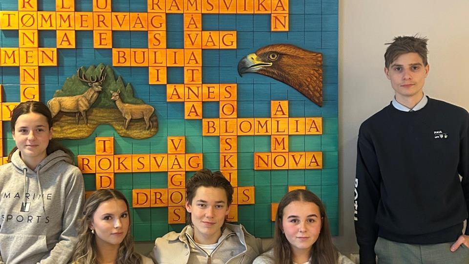 Lenke til artikkel: Aure ungdomsråd - Valg 