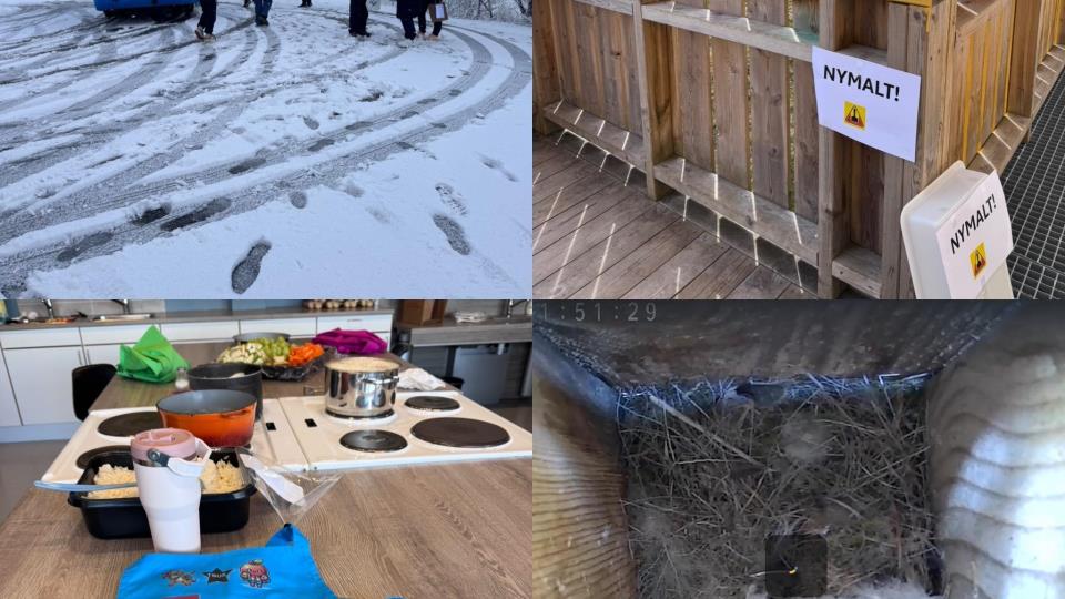Lenke til artikkel: Uke 19: Snøkave, dugnad og sushi.....