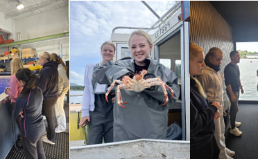 Lenke til artikkel: Havfrua Nordvest - leir for jenter som ser på muligheten for en karriere innen fiskeri og havbruk