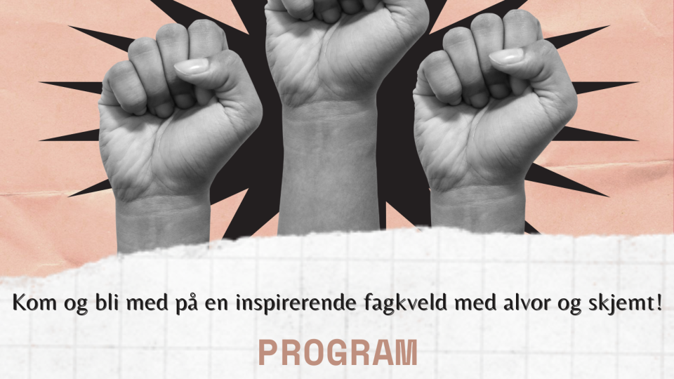 Lenke til artikkel: Program for Kvinnehelse i alvor og skjemt