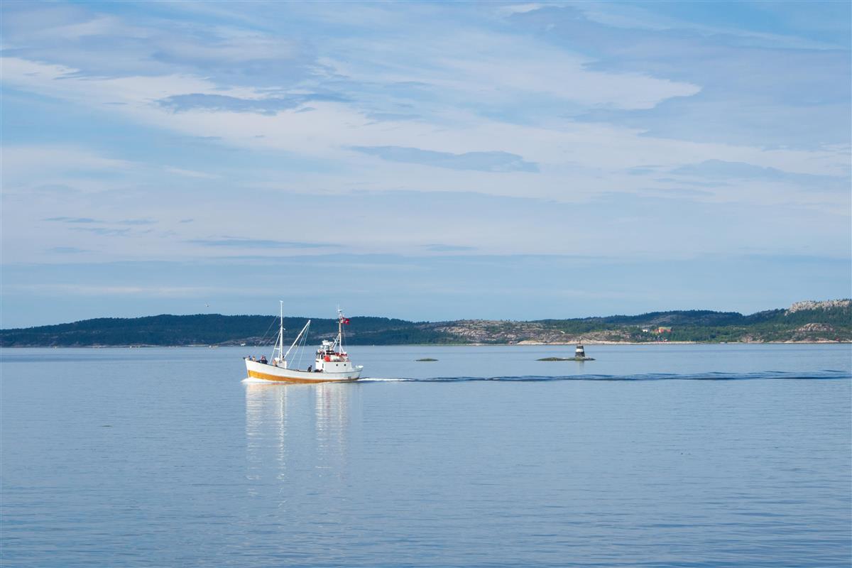 Bilde av fiskebåt - Klikk for stort bilde