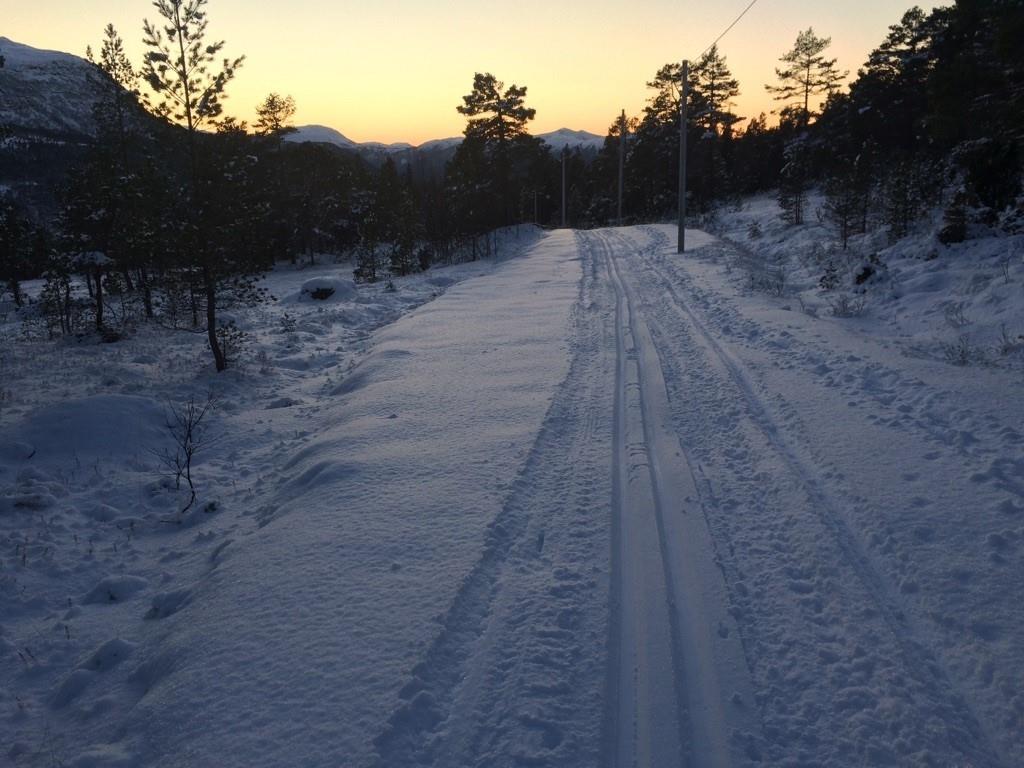Bildet viser skiløype i kveldslys i Aurdalen - Klikk for stort bilde